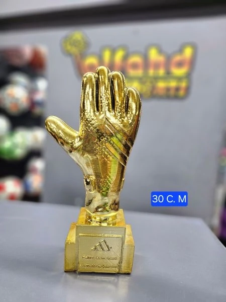 Golden Hand Award 30 cm