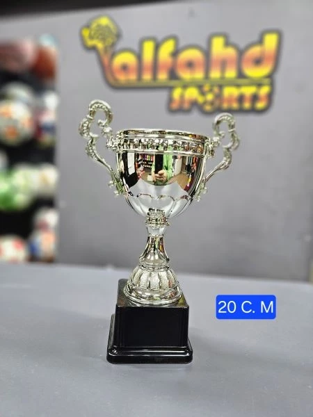 Silver Cup Award 20 cm